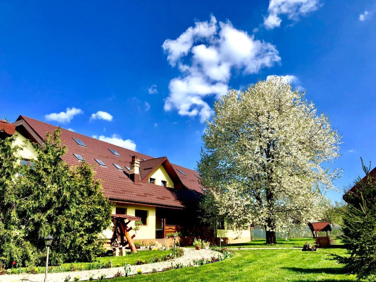 Bed and Breakfast Casa Galbena Arbore Екстер'єр фото